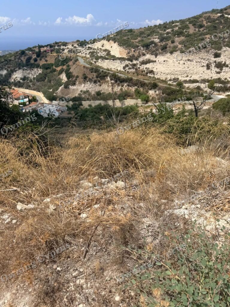 Field in Pegeia