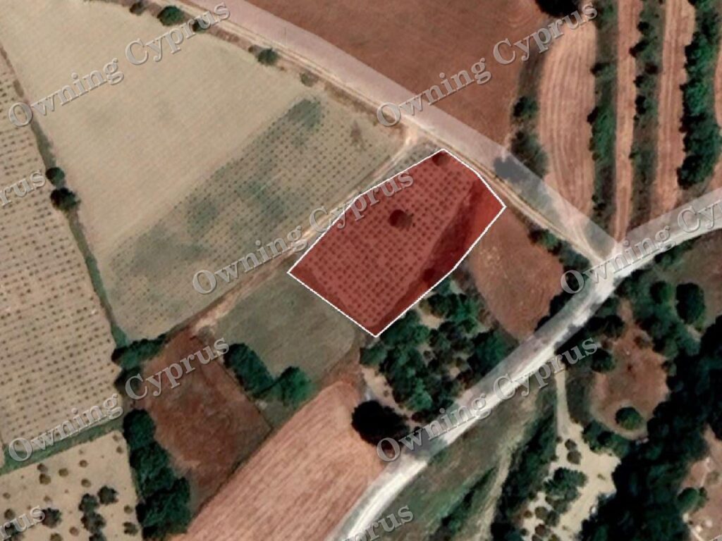 Field for sale, Polemi - PR35876