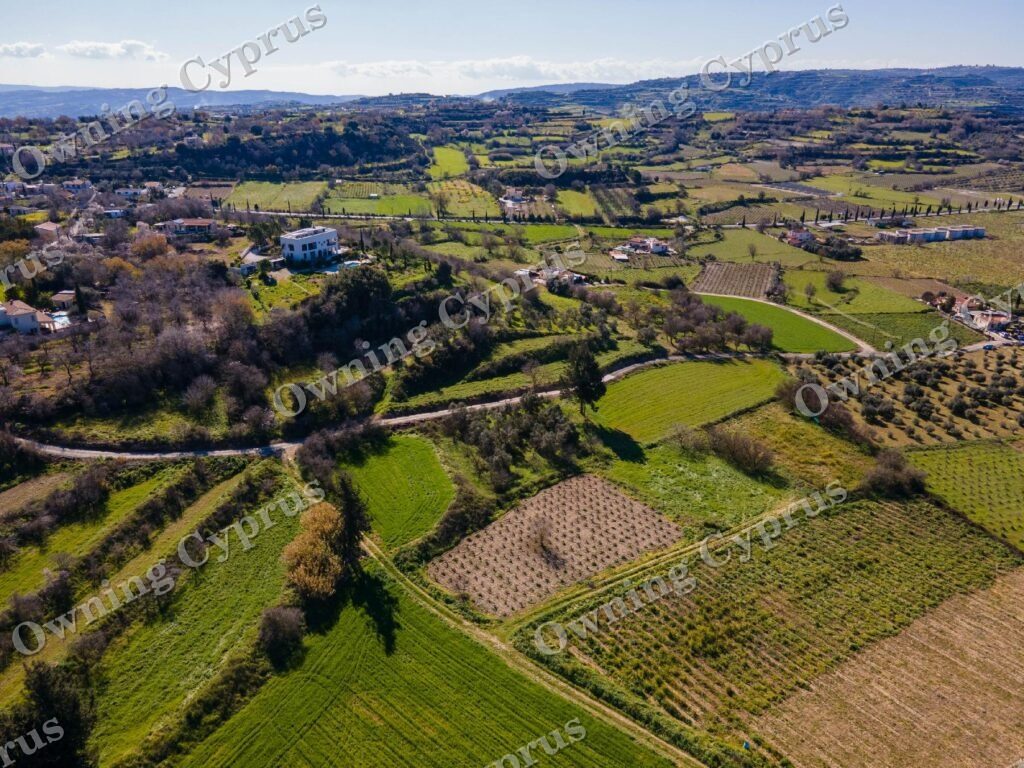 Field for sale, Polemi - PR35876