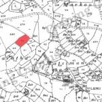Field for sale, Polemi - PR35876
