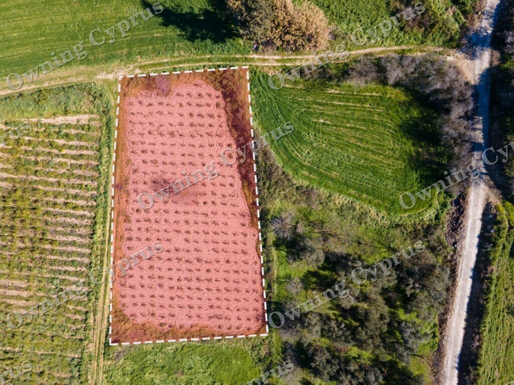 Field for sale, Polemi - PR35876