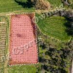 Field for sale, Polemi - PR35876