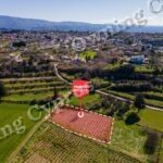 Field for sale, Polemi - PR35876