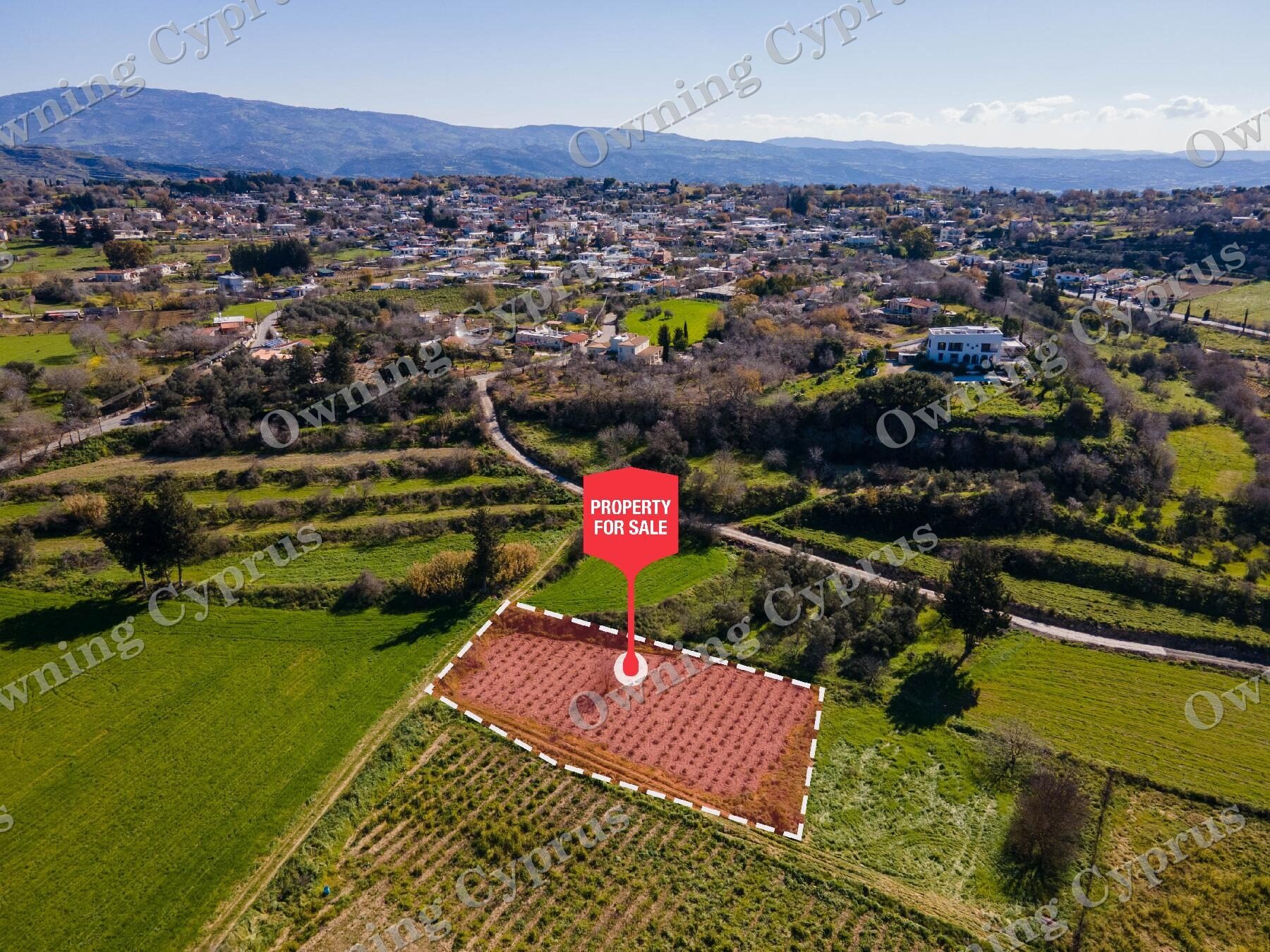 Field for sale, Polemi - PR35876