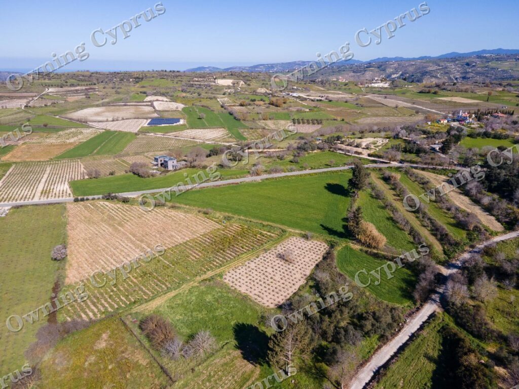 Field for sale, Polemi - PR35876