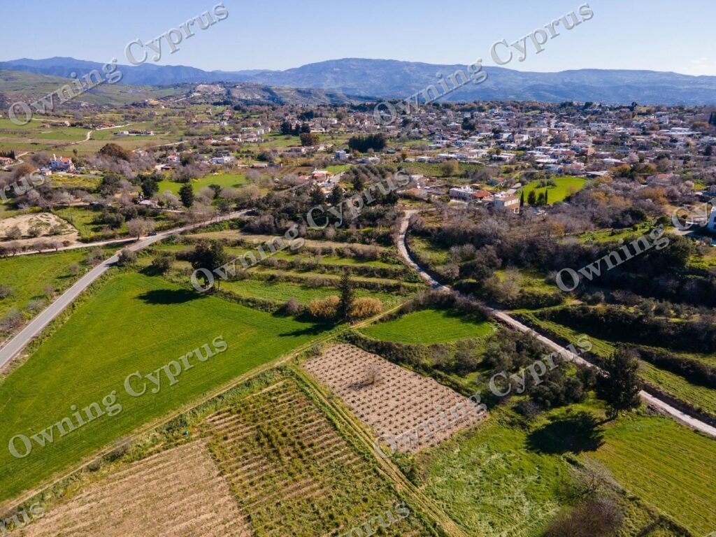 Field for sale, Polemi - PR35876