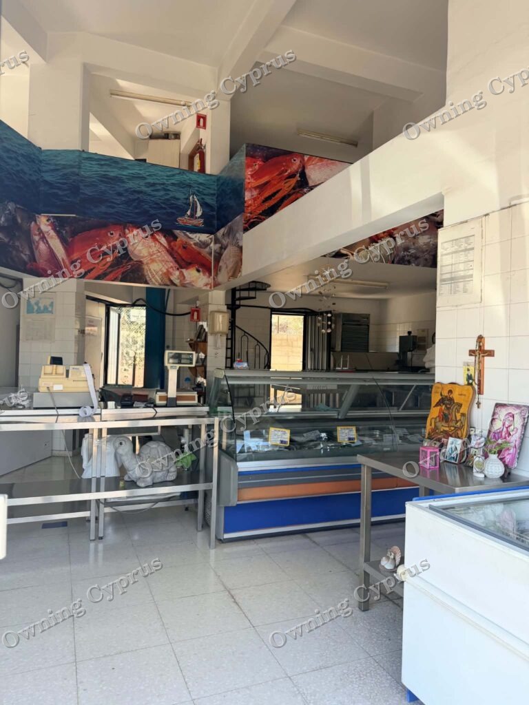 Shop in Geroskipou