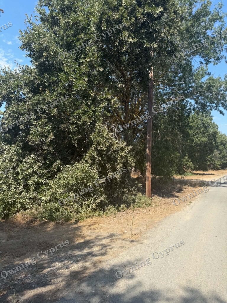 Plot in Polemi
