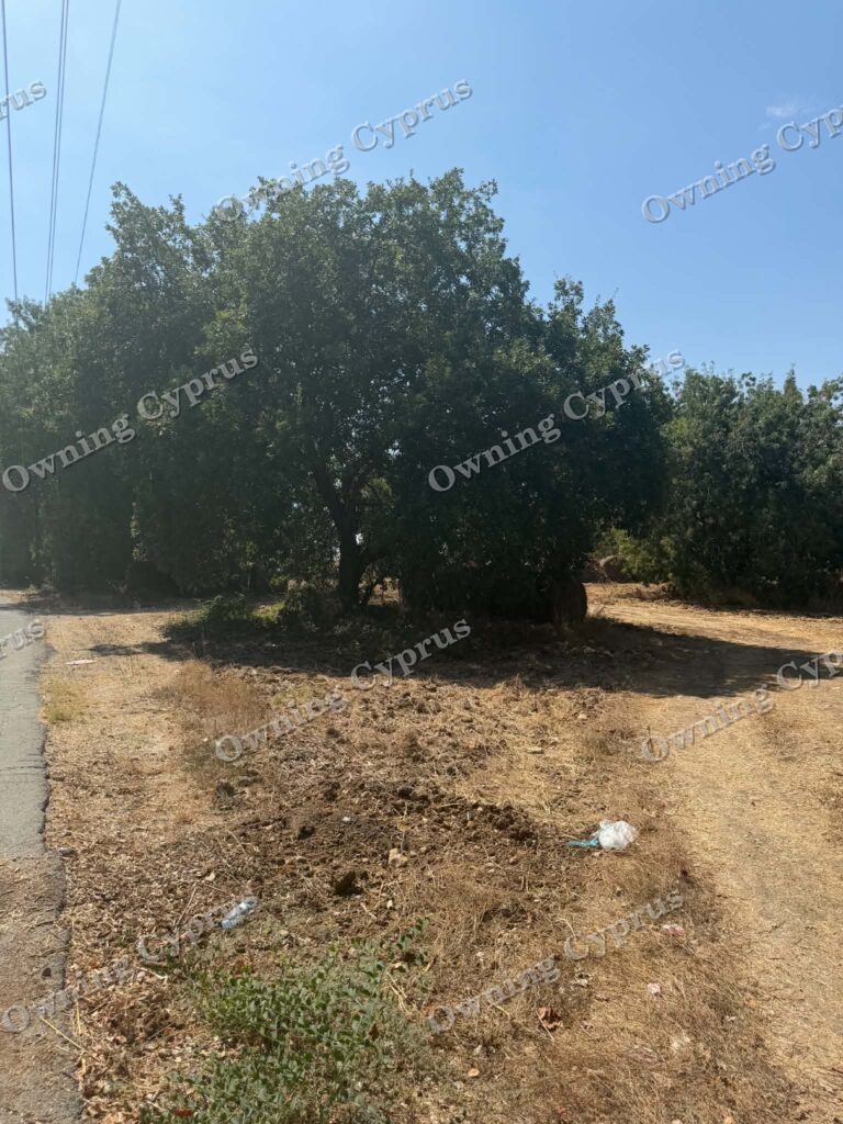 Plot in Polemi