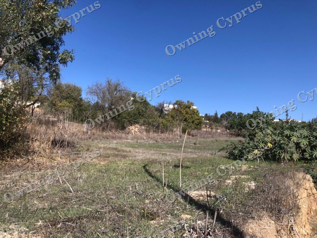 Field in Anavargos, Paphos