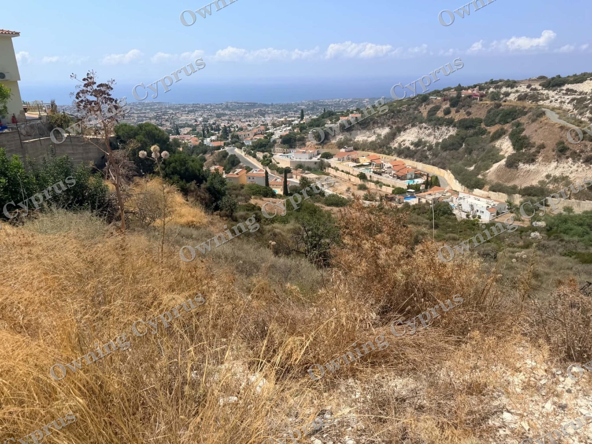 Field in Pegeia