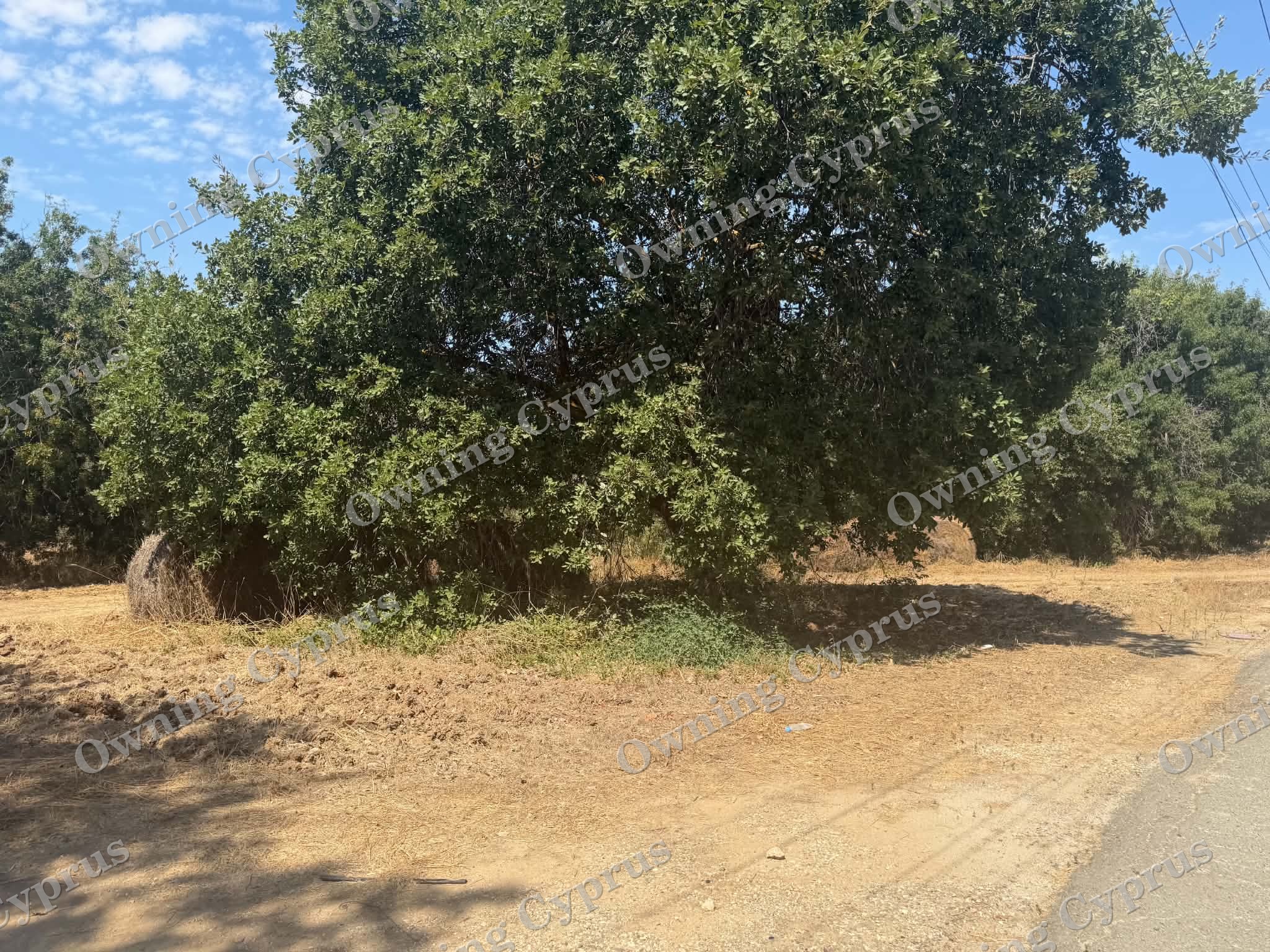 Plot in Polemi