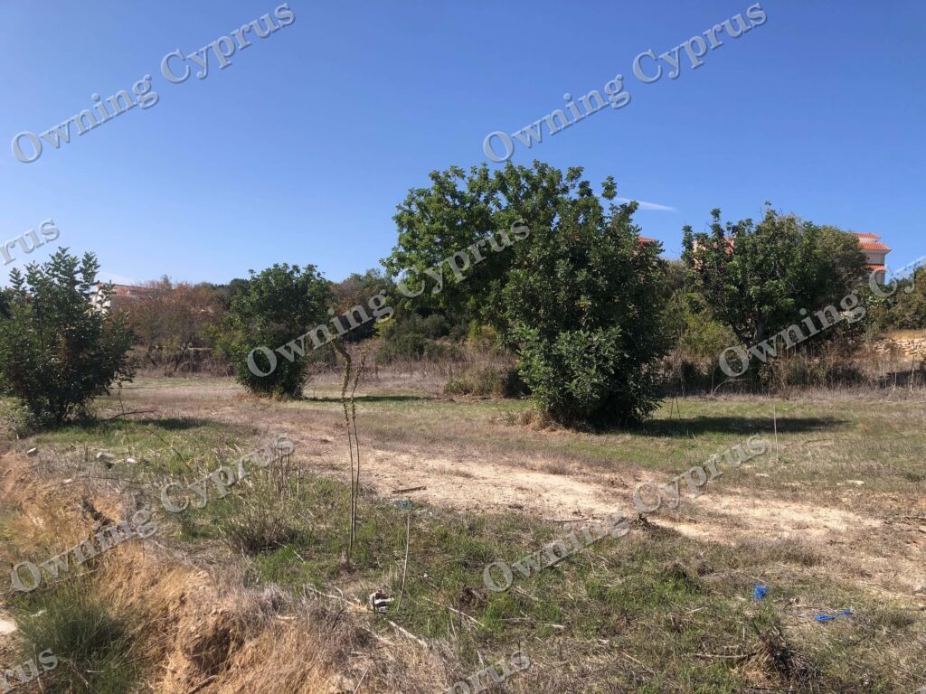 Field in Anavargos, Paphos