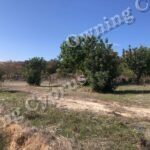 Field in Anavargos, Paphos