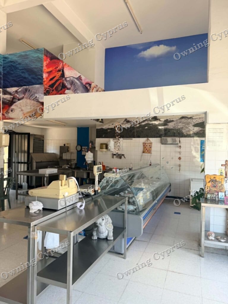 Shop in Geroskipou