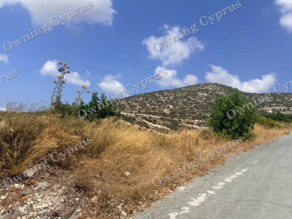 Field in Pegeia