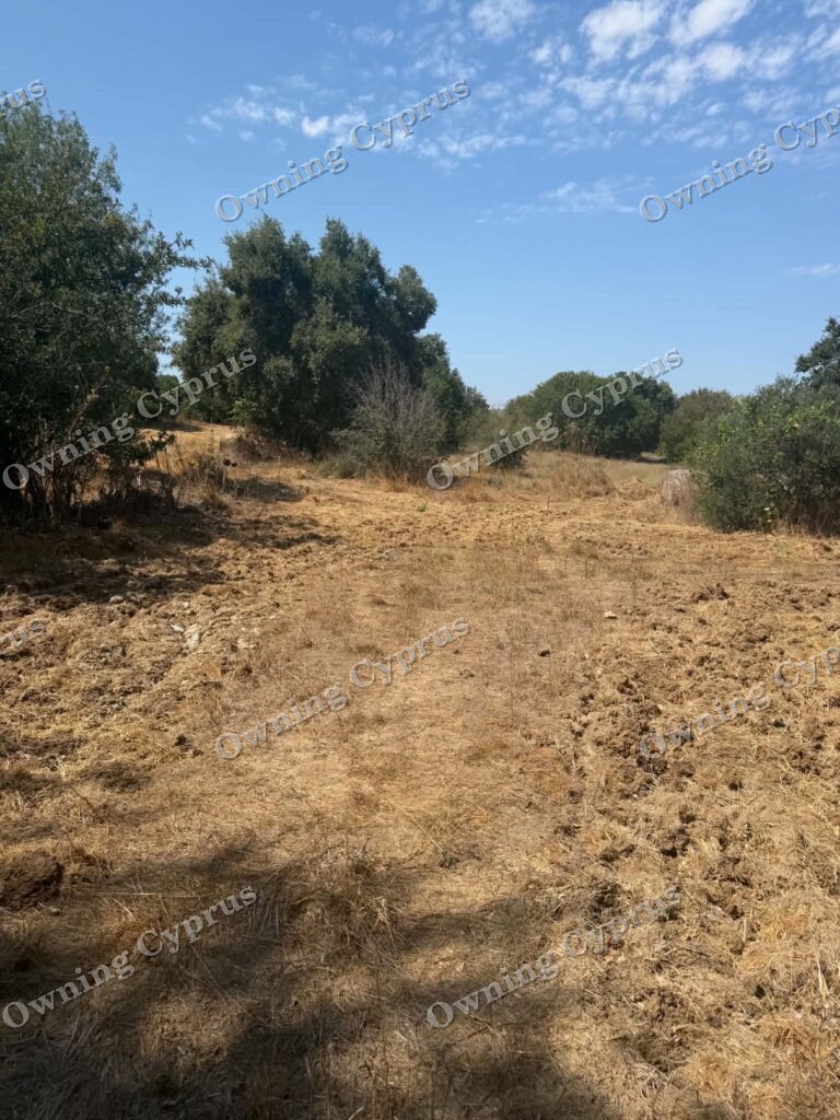 Plot in Polemi
