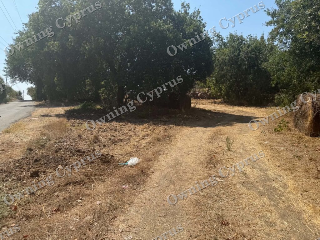 Plot in Polemi