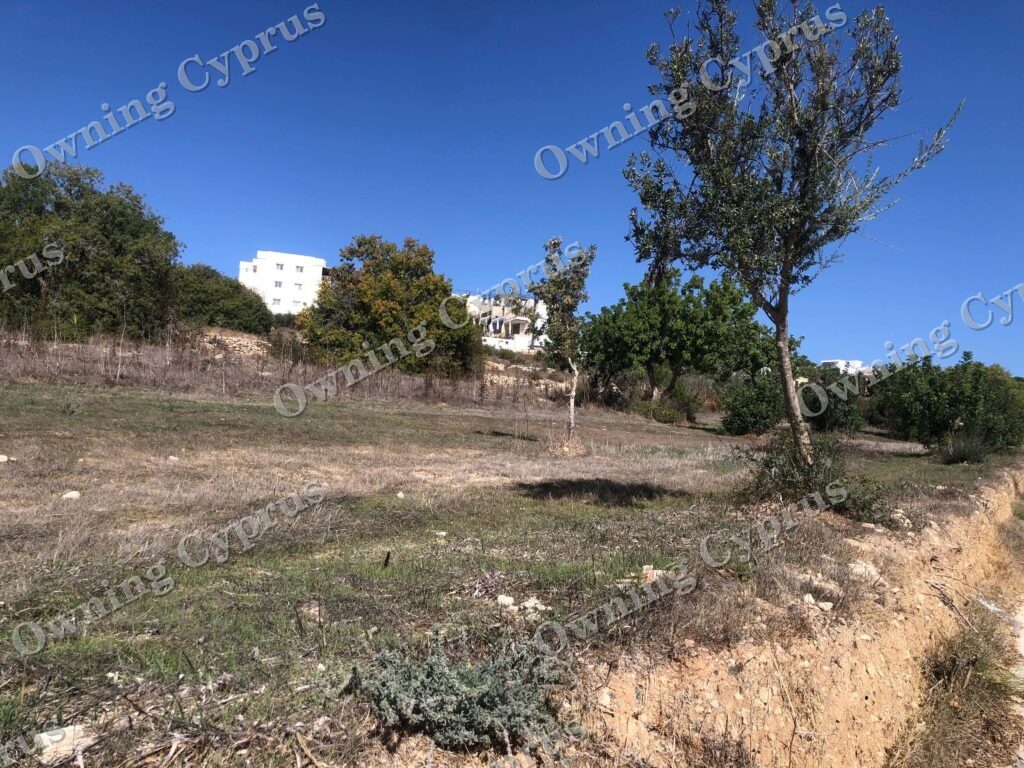 Field in Anavargos, Paphos