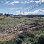 Plots in Prodromi, Polis Chrysochous