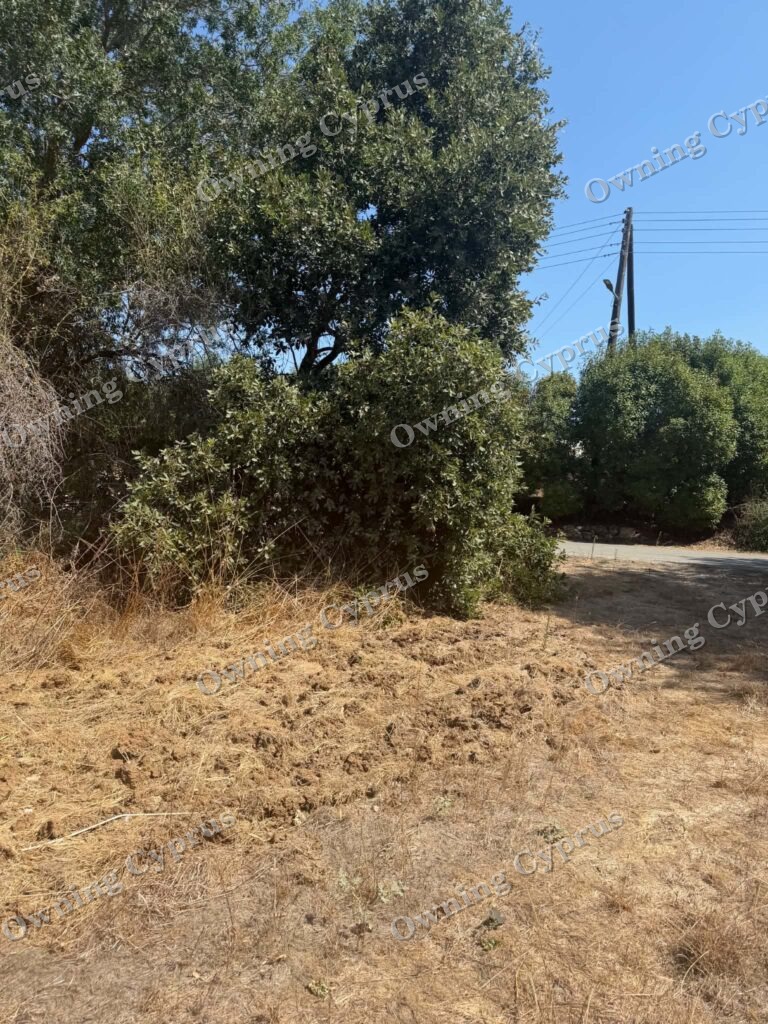 Plot in Polemi