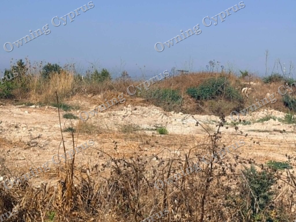 Plot in Kathikas