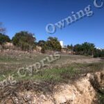 Field in Anavargos, Paphos