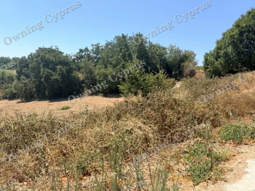 Field in Stroumpi