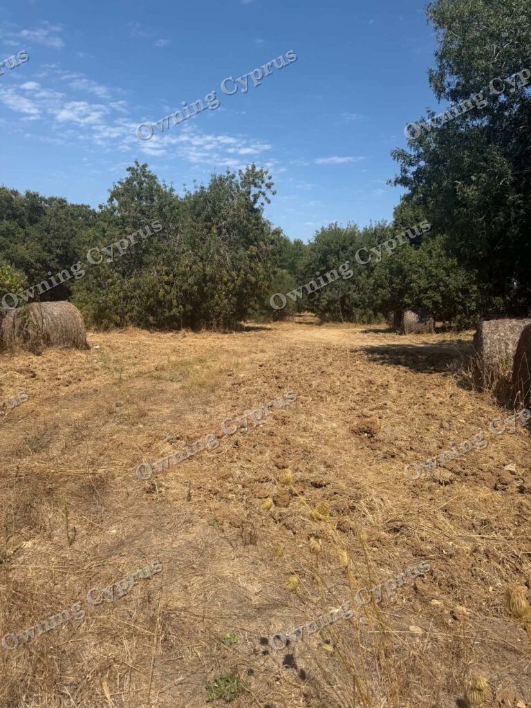 Plot in Polemi