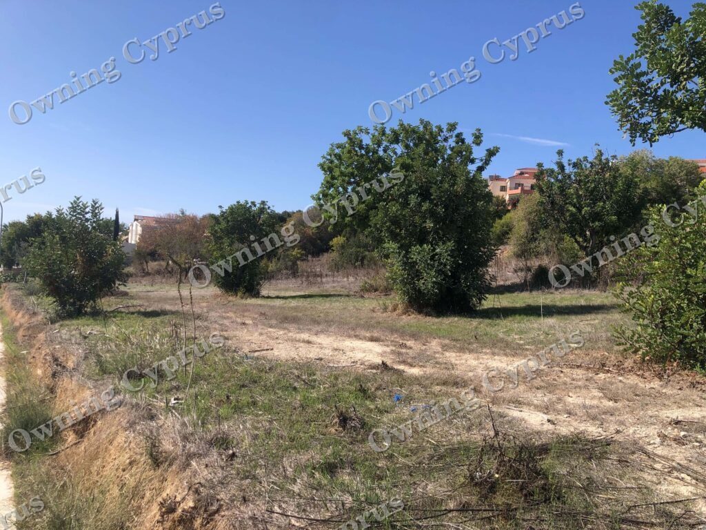 Field in Anavargos, Paphos