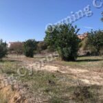 Field in Anavargos, Paphos