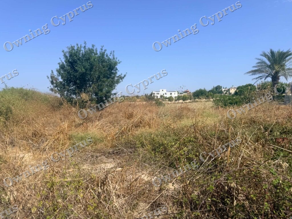 Plot in Kathikas
