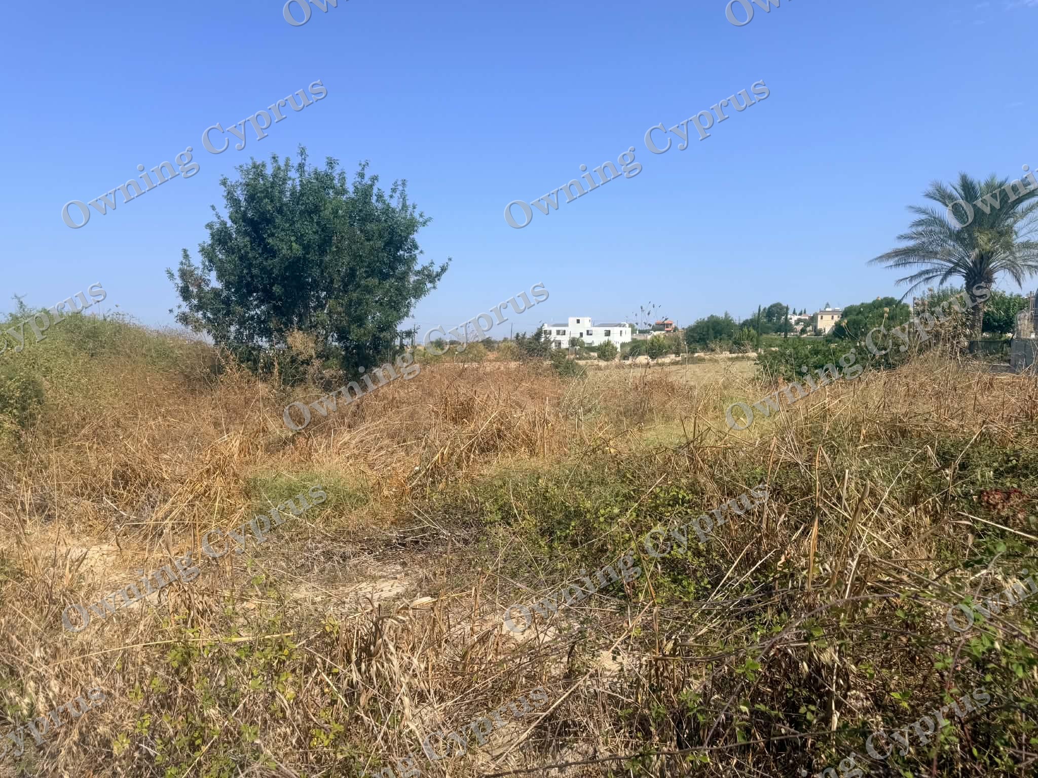 Plot in Kathikas