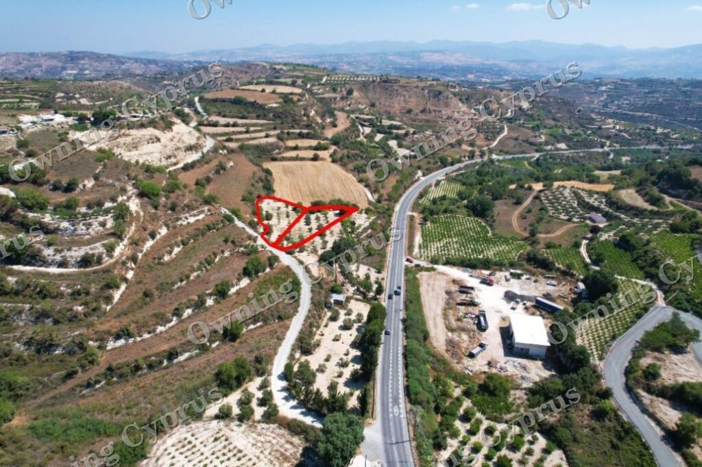 Fields in Tsada