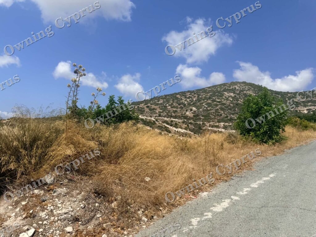 Field in Pegeia