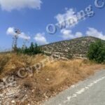 Field in Pegeia
