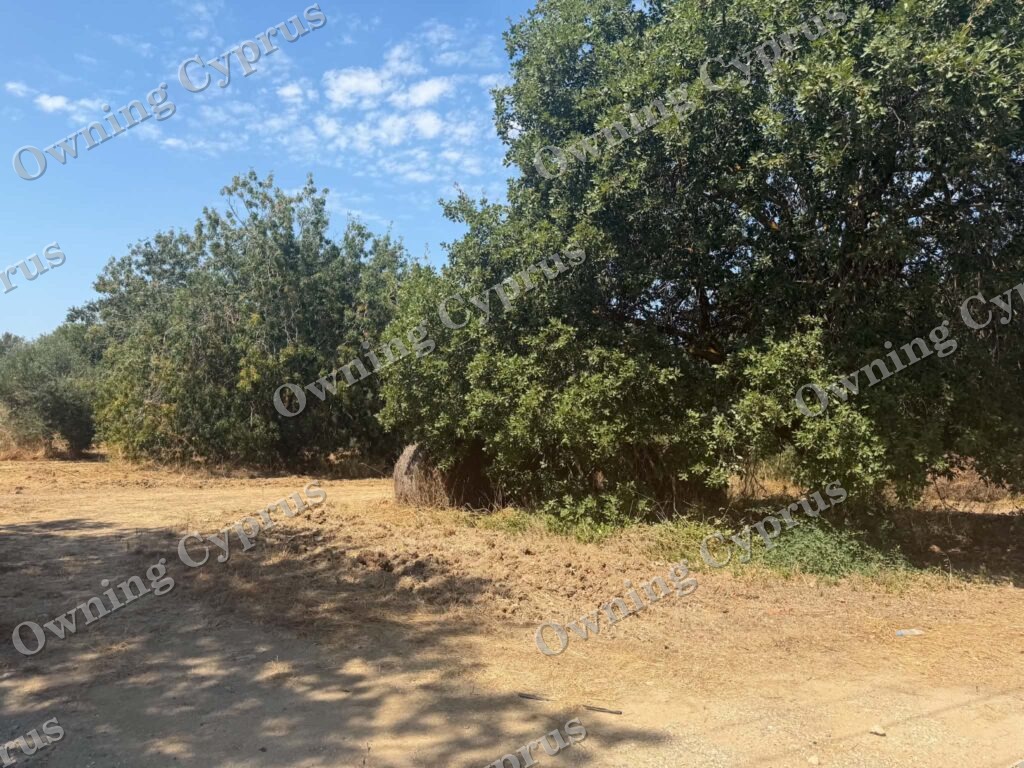 Plot in Polemi