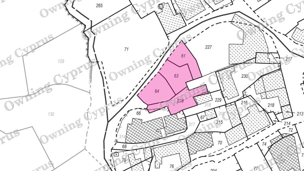 Four Adjacent Commercial Fields in Chloraka, Paphos – 46081