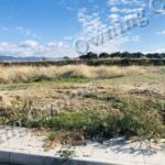 Plots in Prodromi, Polis Chrysochous