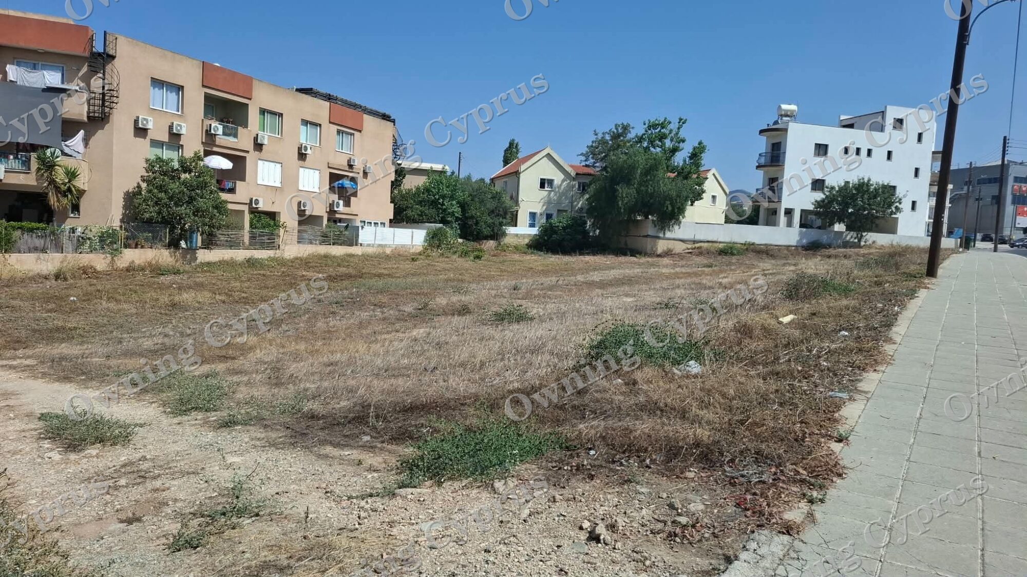 Field in Anavargos, Paphos