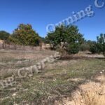 Field in Anavargos, Paphos