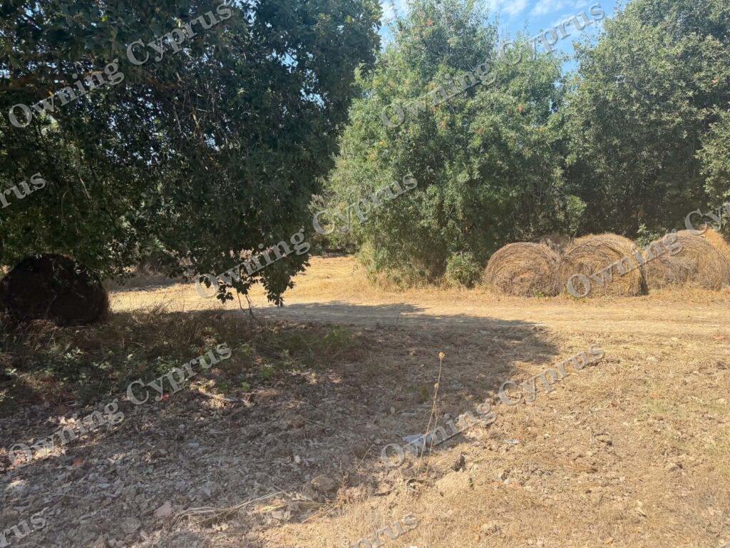 Plot in Polemi
