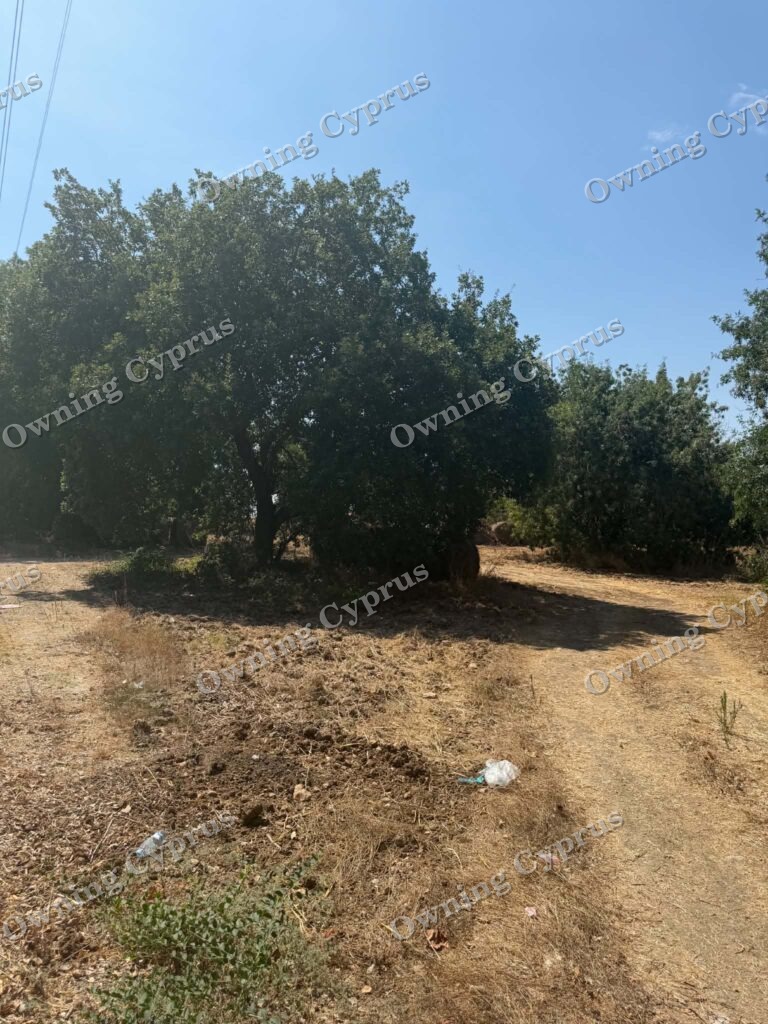 Plot in Polemi