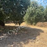 Plot in Polemi