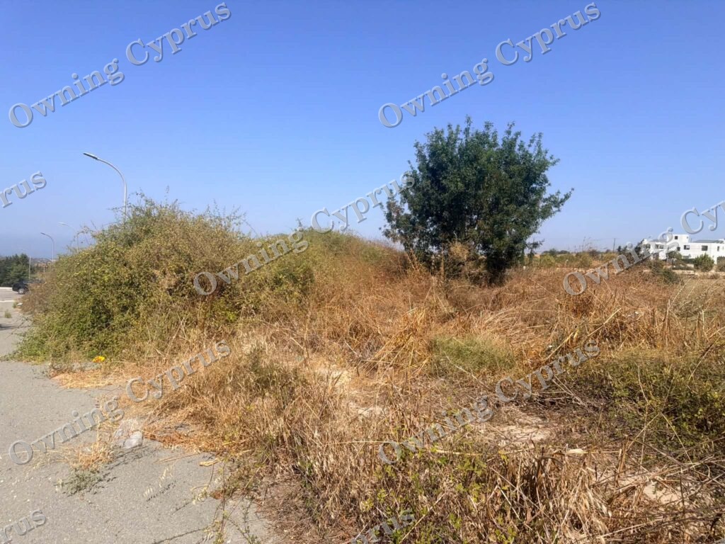 Plot in Kathikas