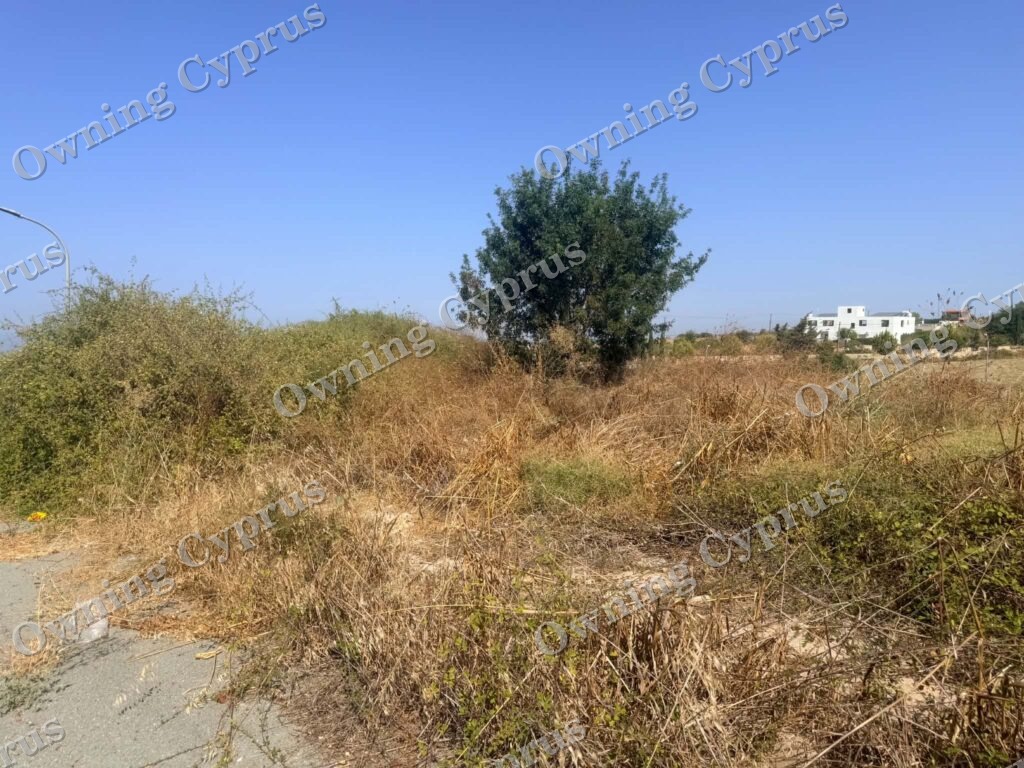 Plot in Kathikas