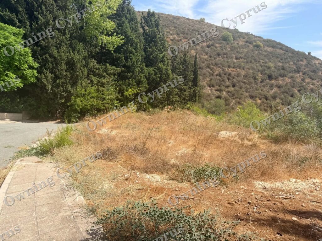 Plot in Tsada