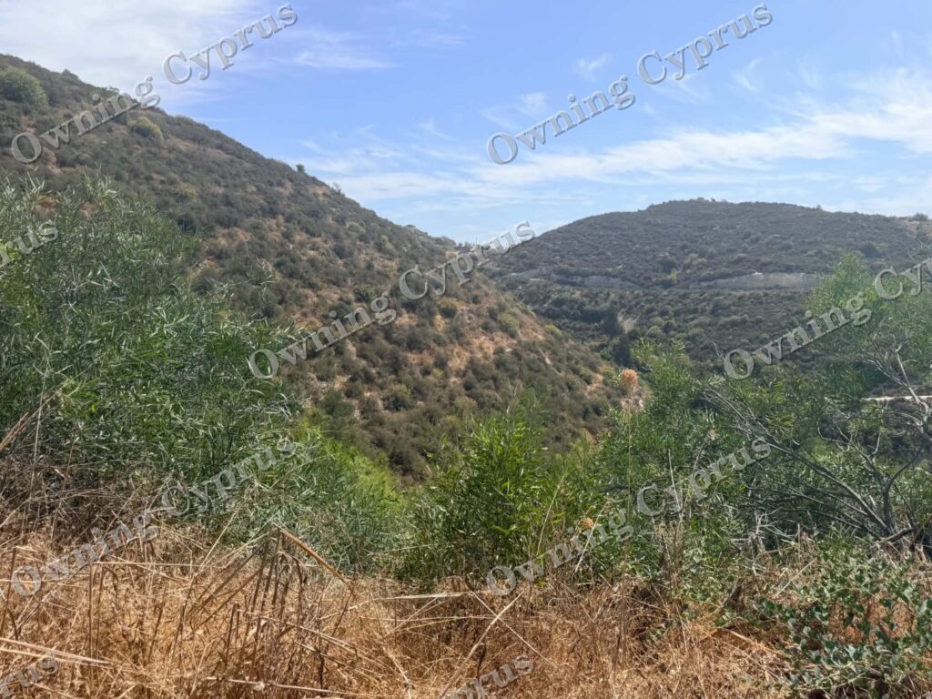 Plot in Tsada