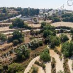 Field for sale, Koili - PR46565