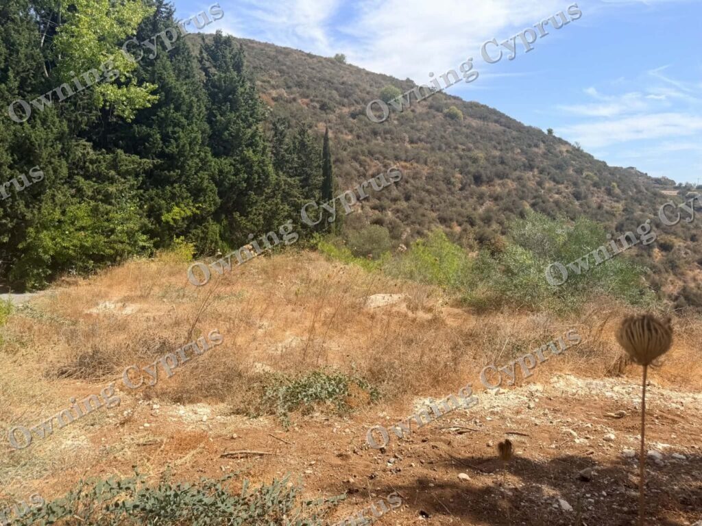 Plot in Tsada